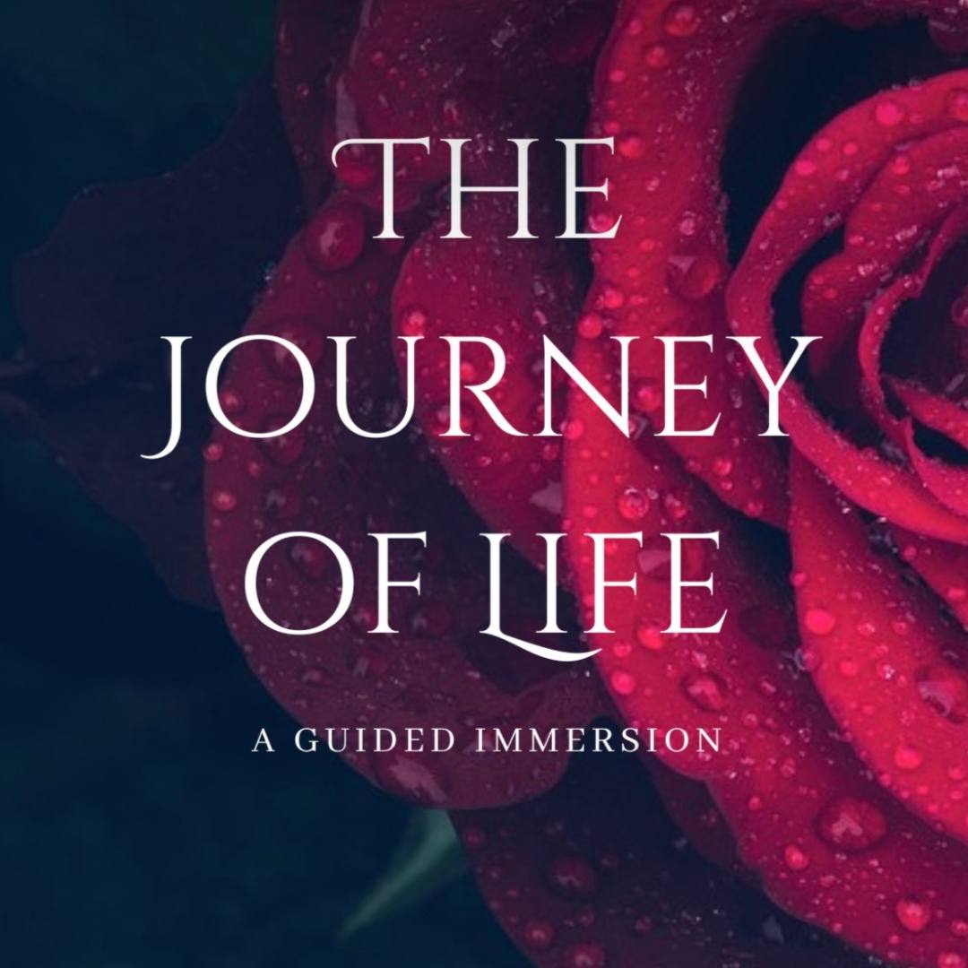 the-journey-of-life